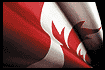 Canada Flag